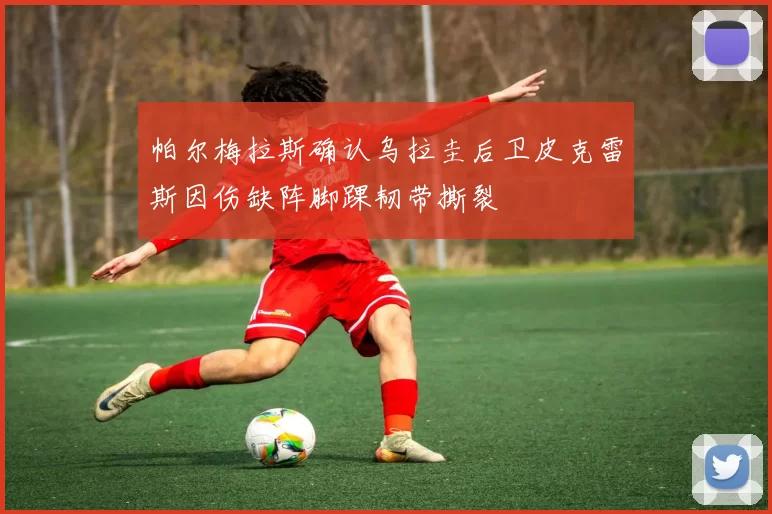 帕尔梅拉斯确认乌拉圭后卫皮克雷斯因伤缺阵脚踝韧带撕裂