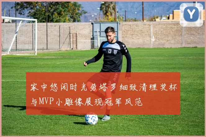 家中悠闲时光劳塔罗细致清理奖杯与MVP小雕像展现冠军风范